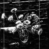 Одуванчики  The Dandelions