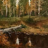 Осень на таёжной речке Киа-ю