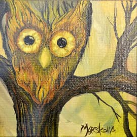 Сова в доме. #Marskolla