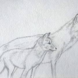 Лисички. Зарисовка