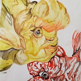 Парочка экзотических рыбок