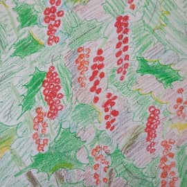 Красная смородина