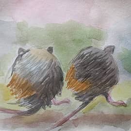 Две мышиные попки