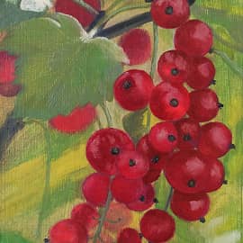 Красная смородина.