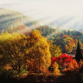 В лучах солнца