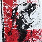 Красное и белое. Собака.