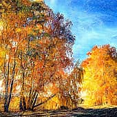 Солнечная осень.