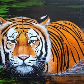 Год водяного тигра