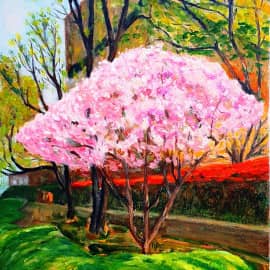 Время цветения сакуры.