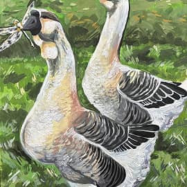 Два веселых гуся