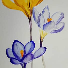 Цветы весны