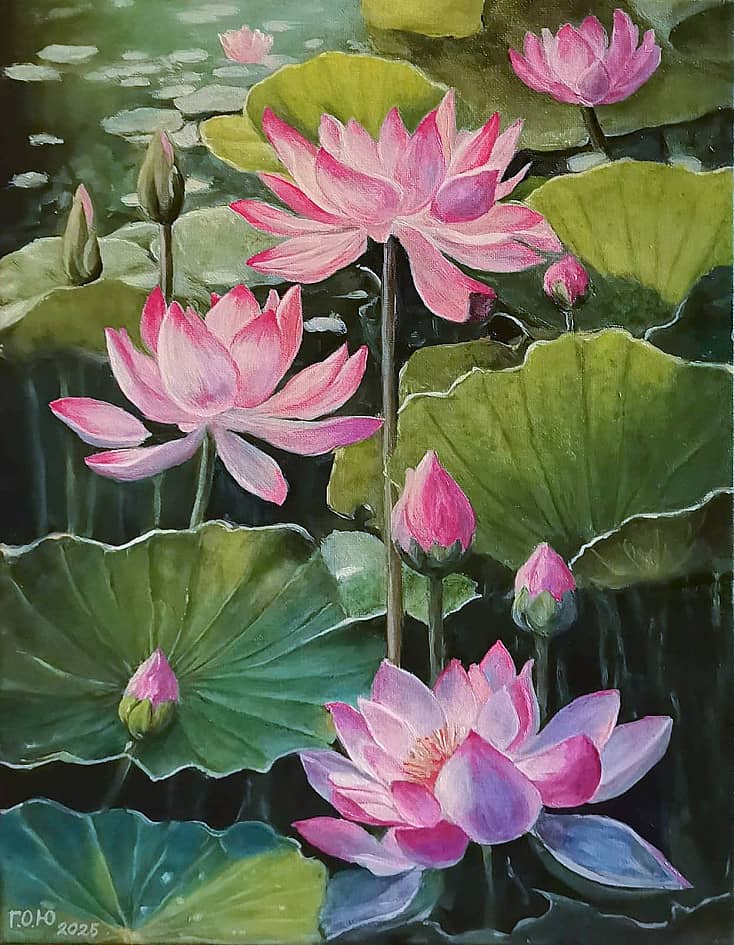 Пруд с лотосами