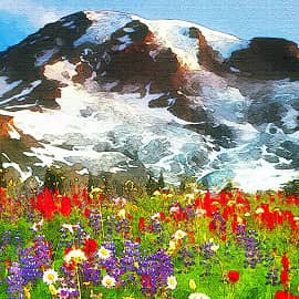 горные луга