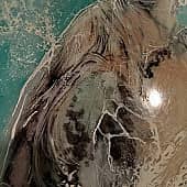 Черепашка по имени Наташка (2), художник Евгения