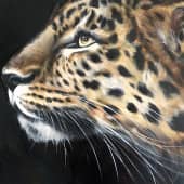 Портрет леопарда, художник Чернова Ольга