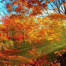 Солнечная дорожка.