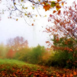 Осенний туман-1