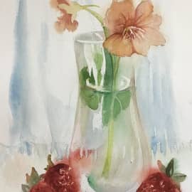 Настурция и клубника