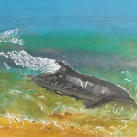 Дельфиний экстрим.