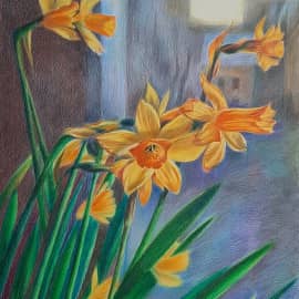 Нарциссы