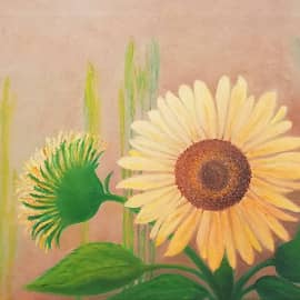 Подсолнушки