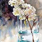 -сиренька- redraw 2015.gemini., художник Сергей Куценко