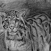 Печалька (1), художник Елена А. Винокурова