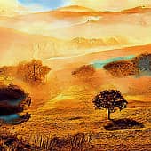 В солнечно свете.