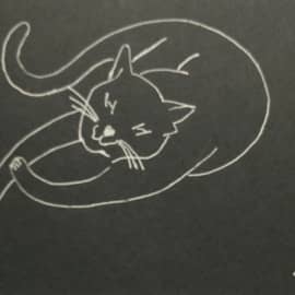 Жизнь удалась