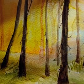 С первыми лучами...