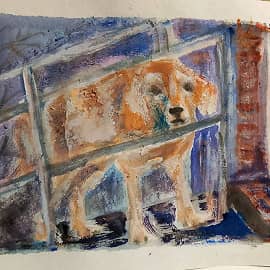 Жду хозяйку