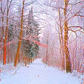 Осенние памятки.