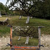 Композиция с деревьями (1), художник Елена Сергеевна