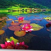 Далёкий берег. (3), художник Alex-08