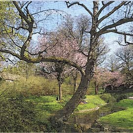 Весенний этюд