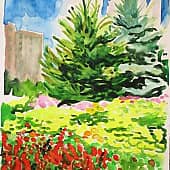 Ёлки зелёные