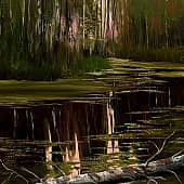 Лесное озеро. Вечер.