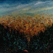 Соловки 1925  Solovki 1925