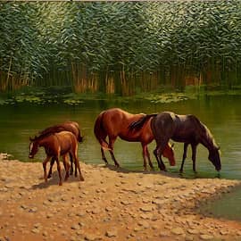 Полдень. Лошади на водопое