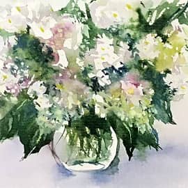 Акварель Гортензии