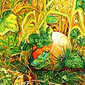 Росла тыква в огороде.