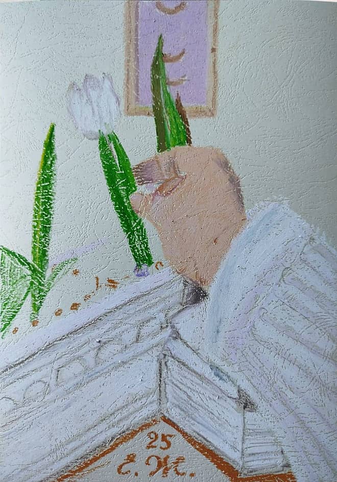 26.02.2025, Белый тюльпан