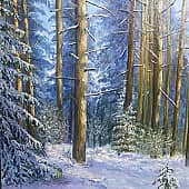 Зима ( давнее)