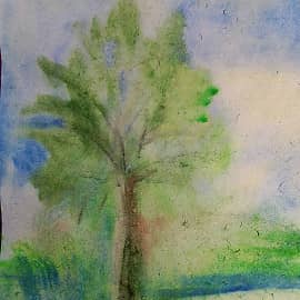 Дерево в тумане