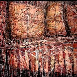 Дорогами солнца