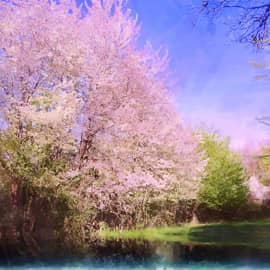 Весна пришла.