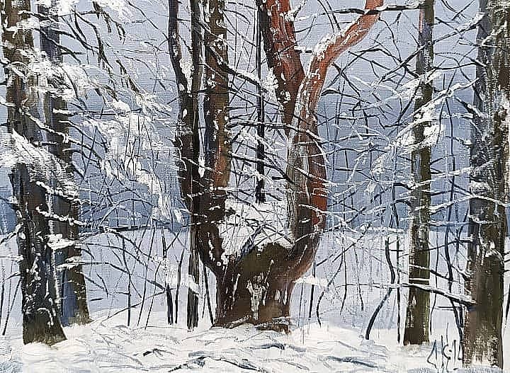 Зима в "языческой" роще