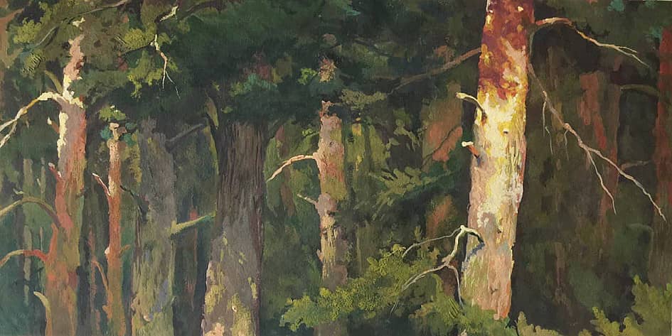 Сосновая роща