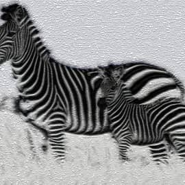 Животные 022