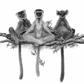 Утренняя медитация